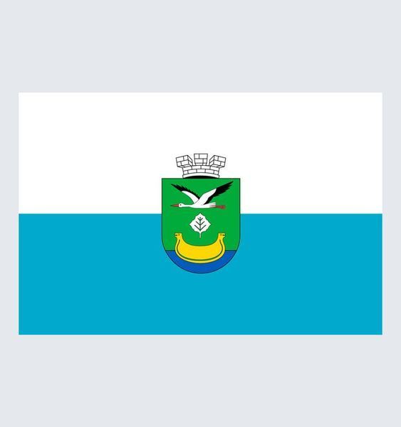 Прапор Дарницького району