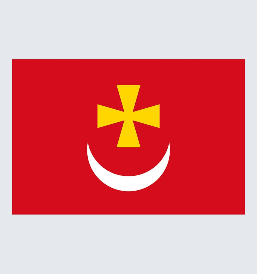 Прапор Борзни