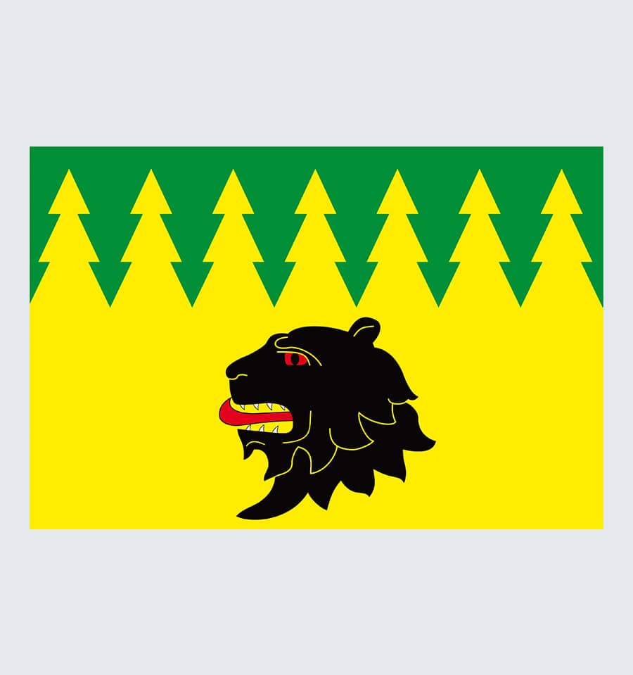 Прапор села Головецько
