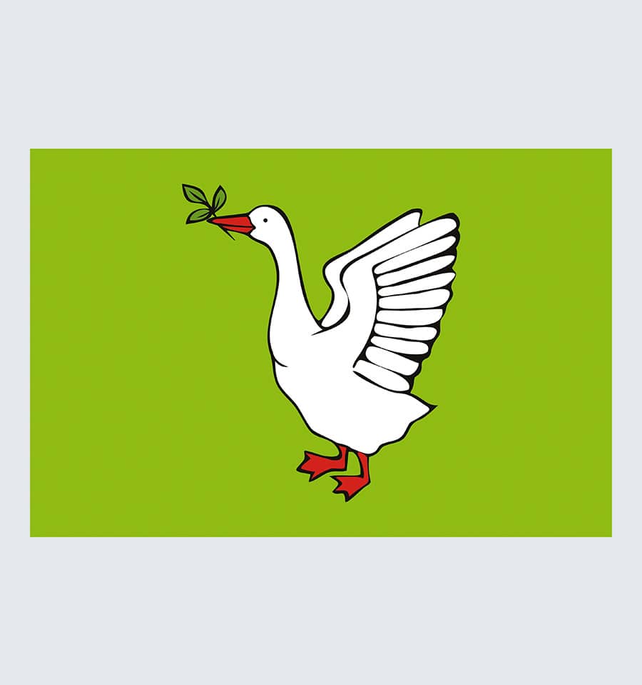 Прапор Трускавця