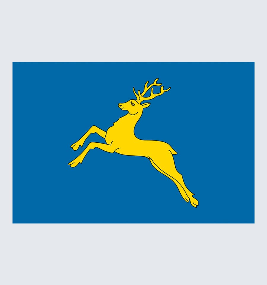 Прапор Самбора