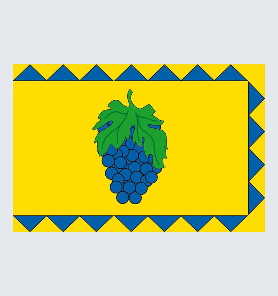 Прапор Винників