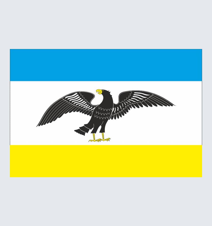 Прапор Таращі