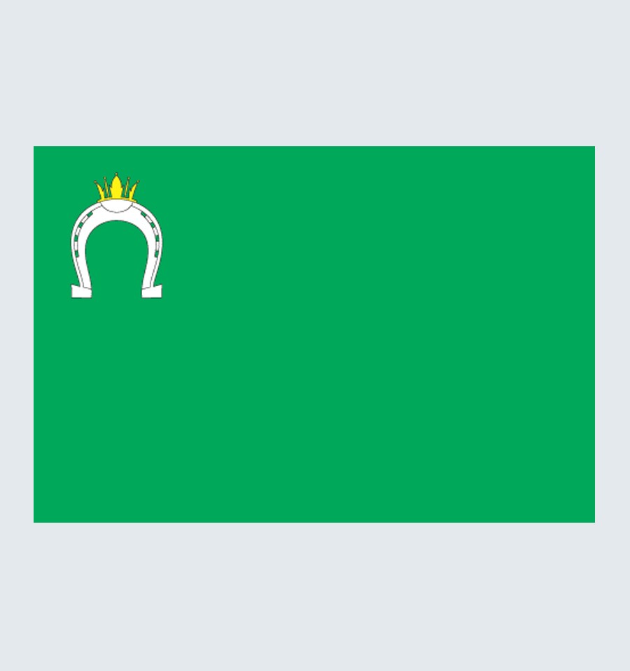 Прапор Узина