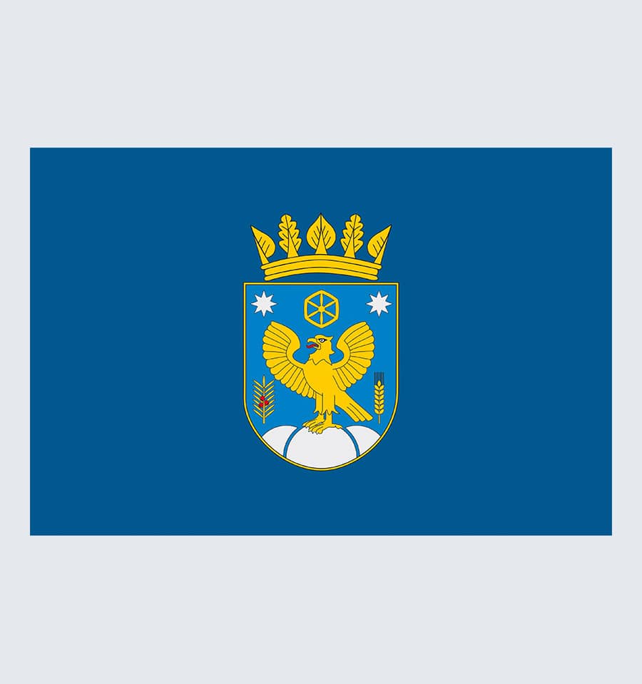 Прапор Коломийського району
