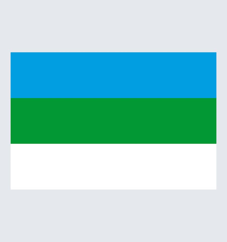 Прапор Великого Березного